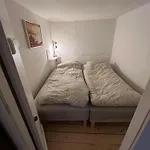 The Cozy Cave Center