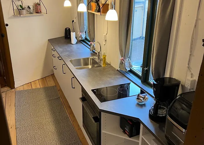 The Cozy Cave Center Апартаменты Оденсе